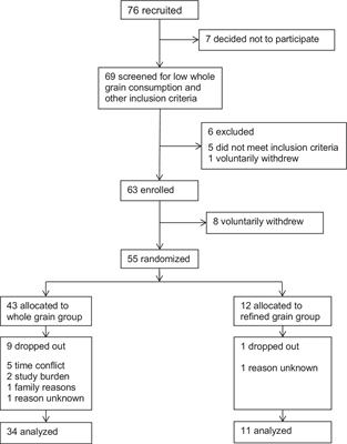 Initial implicit association between whole grains and taste does not predict consumption of whole grains in low-whole grain consumers: a pilot randomized controlled trial